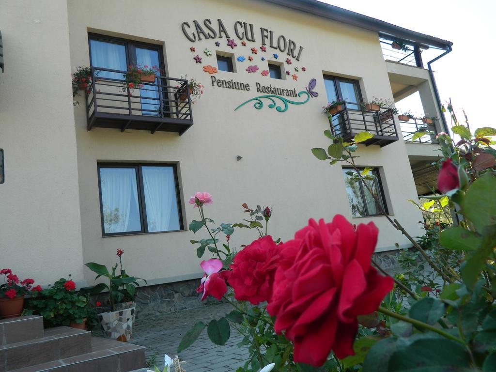 Pensiunea Casa Cu Flori チスナディオアラ エクステリア 写真