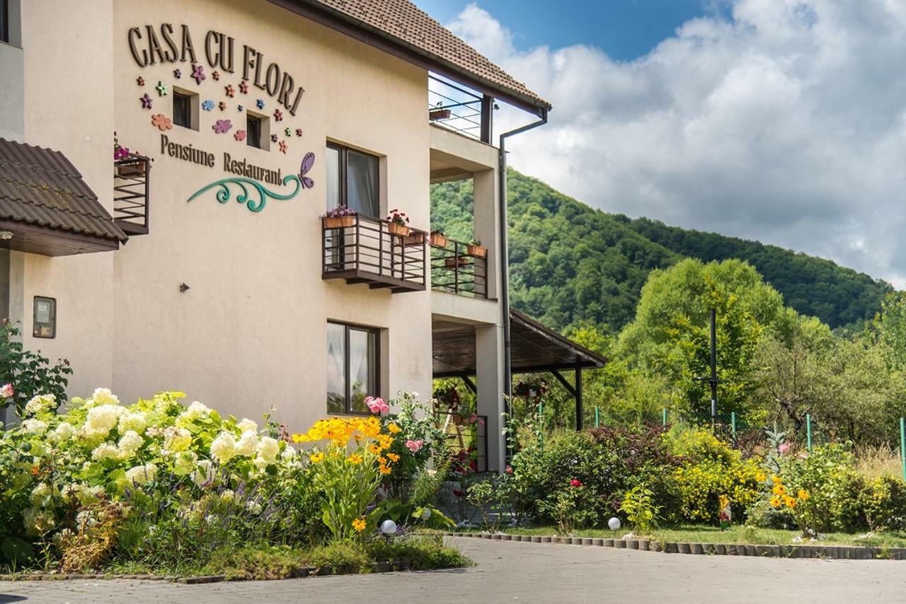 Pensiunea Casa Cu Flori チスナディオアラ エクステリア 写真