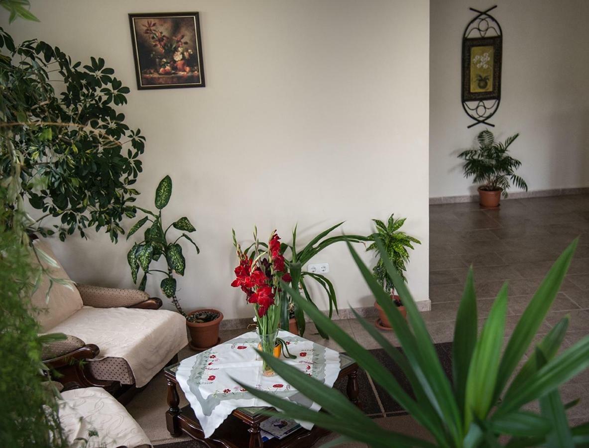 Pensiunea Casa Cu Flori チスナディオアラ エクステリア 写真