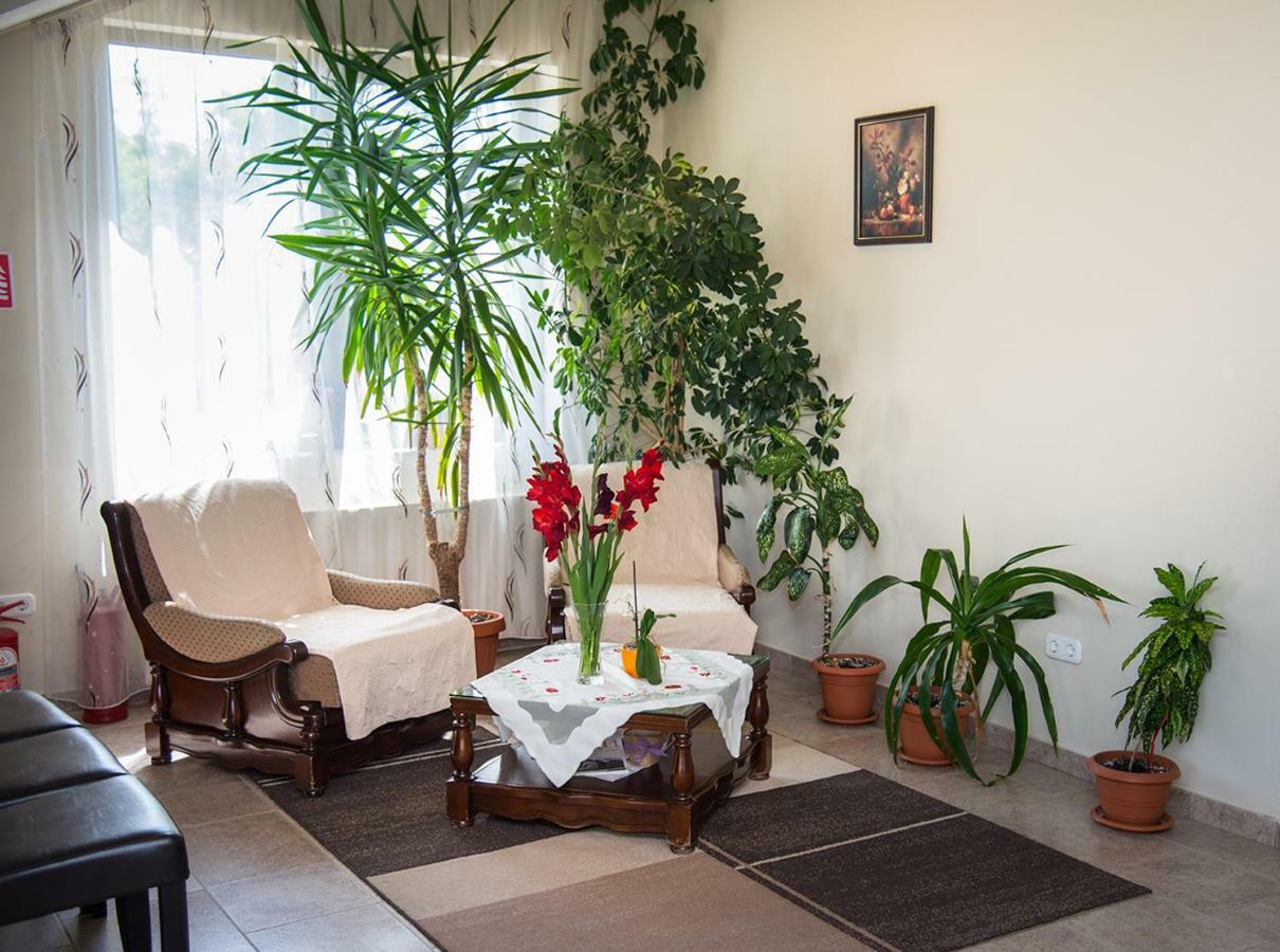 Pensiunea Casa Cu Flori チスナディオアラ エクステリア 写真