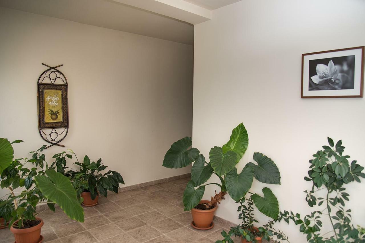 Pensiunea Casa Cu Flori チスナディオアラ エクステリア 写真